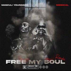 Free My Soul Remix by Mawuli Younggod Ft Medikal