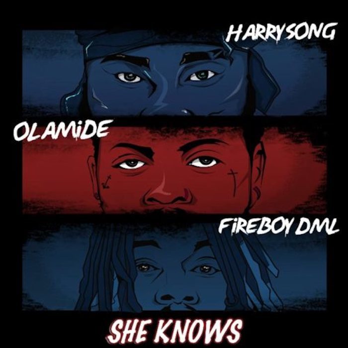 Harry Song Ft. Olamide Fireboy DML She Knows