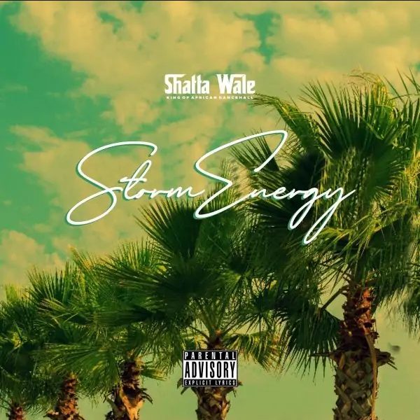 Shatta Wale – Storm Energy mp3 image