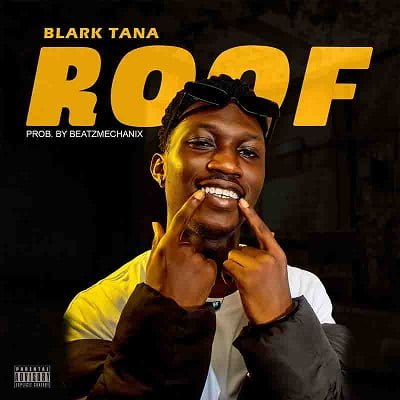 blark tana roof.jpg