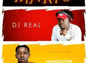 dj real ft small doctor mario.jpeg