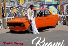 kuami eugene – take away acoustic.webp.webp