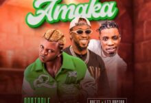 portable – amaka ft. orezi li2 doctor.jpg