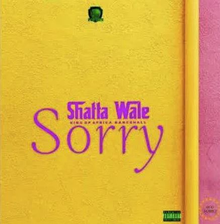 shatta wale sorry.jpg