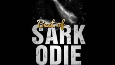 best of sarkodie dj mixtape old new songs