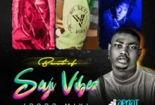 best of seyi vibe 2022 art.jpg
