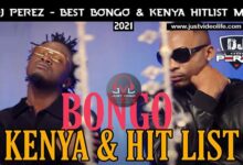 dj perez best of bongo kenya hitlist mix 2022