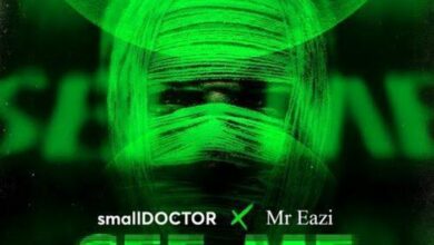 small doctor ft. mr eazi see me.jpg