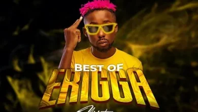 naijadjmix.com dj selex best of erigga mixtape new amp old songs