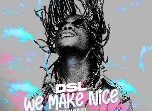 dsl we make nice oh yeah mp3 image.jpg