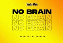 shatta wale no brain.jpg