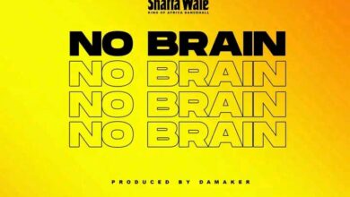 shatta wale no brain.jpg