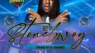 naijadjmix.com dj shaker best of stonebwoy mixtape all hit songs