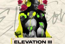 dj mingle elevation 3