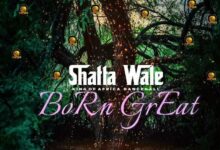 shatta wale born great aacehypez net mp3 image.jpg