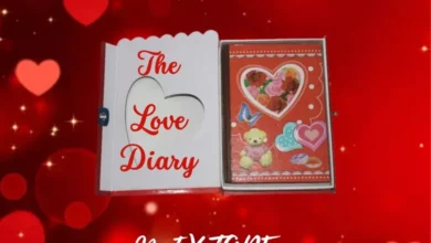 dj donzy love diary mixtape mp3 image