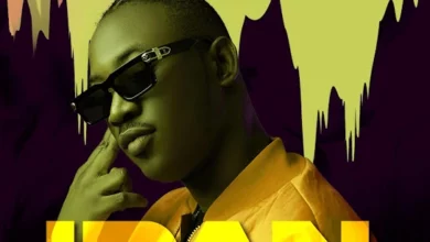 dammy krane idan.webp.webp