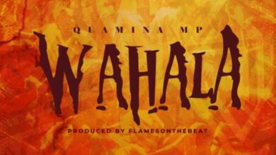 quamina mp – wahala aacehypez net mp3 image scaled.jpg