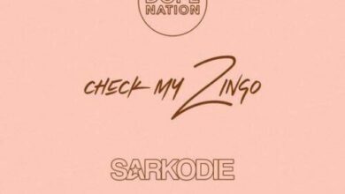 dopenation x sarkodie check my zingo aacehypez net mp3 image scaled.jpg