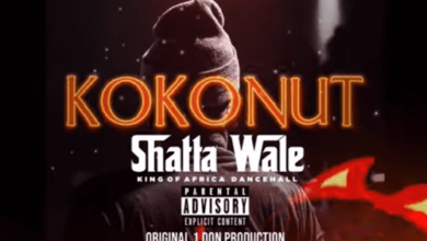 download mp3 shatta wale kokonut aacehypez net mp3 image.png