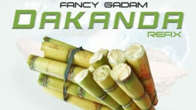 fancy gadam dakanda www aacehypez net mp3 image scaled.jpg