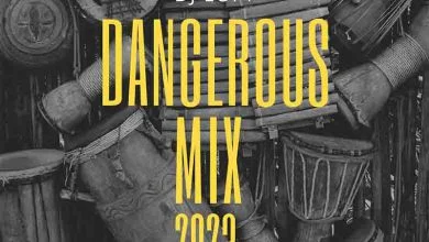 dj loft the dangerous mix