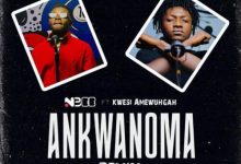 download mp3 nbee e28093 ankwanoma remix ft kwesi amewuga aacehypez net mp3 image scaled.jpg