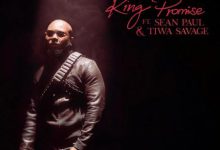 king promise terminator remix ft sean paul tiwa savage aacehypez net mp3 image.jpg