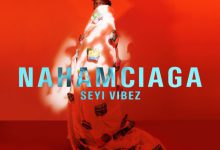 seyi vibez nahamciaga art.jpg