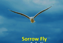 safo newman sorrow fly mp3 download mp3 image.png