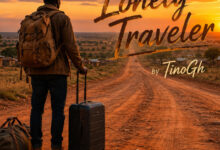 tinogh lonely traveler